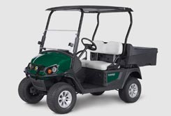 Golf Cart Rentals