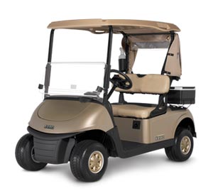 FLEET-RXV-Ezgo-Golf-Cart-Houston-2